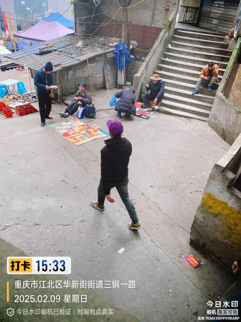 今日野水沟大概有二十几个上班的